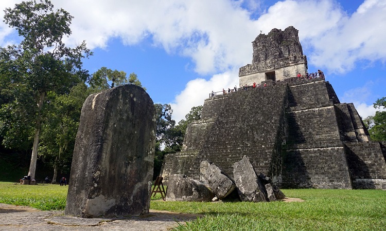 Tikal és Uaxactún élővilága (képes blog)