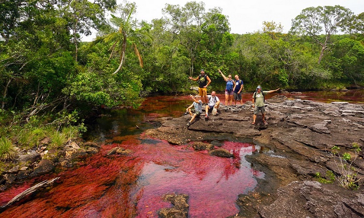 A Caño Cristales és a Rio Guayabero petroglifjei (képes blog)