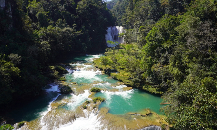 Sak Tz'i és az El Salto-vízesés - búcsú Chiapastól